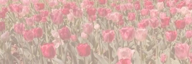 𝖮𝖼𝖾𝖺𝗇𝗇𝖺 𝖹𝖾𝗉𝗁𝗂𝗋𝖺 banner