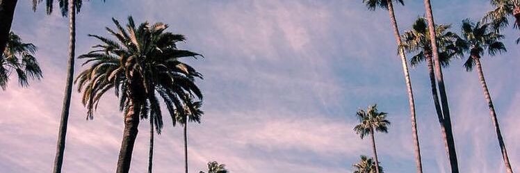 LeentjeJ's profile banner image