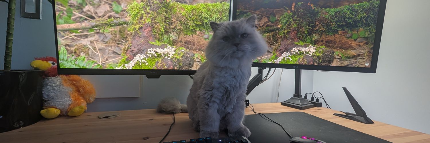 TravisChoptain's profile banner image