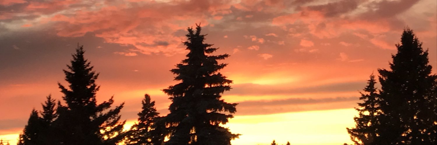 dougZIEBER's profile banner image
