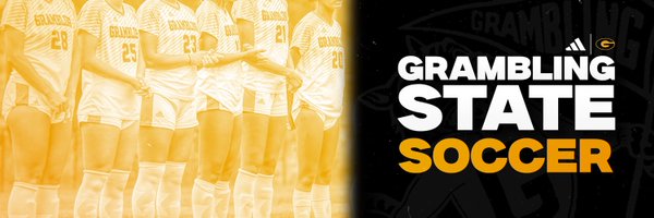 gsutigers_wsoc Profile Banner