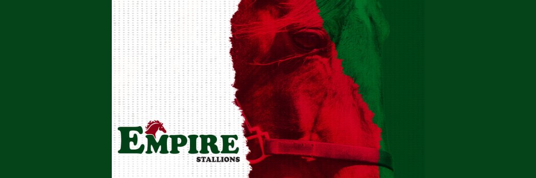 EmpireStallions's profile banner image