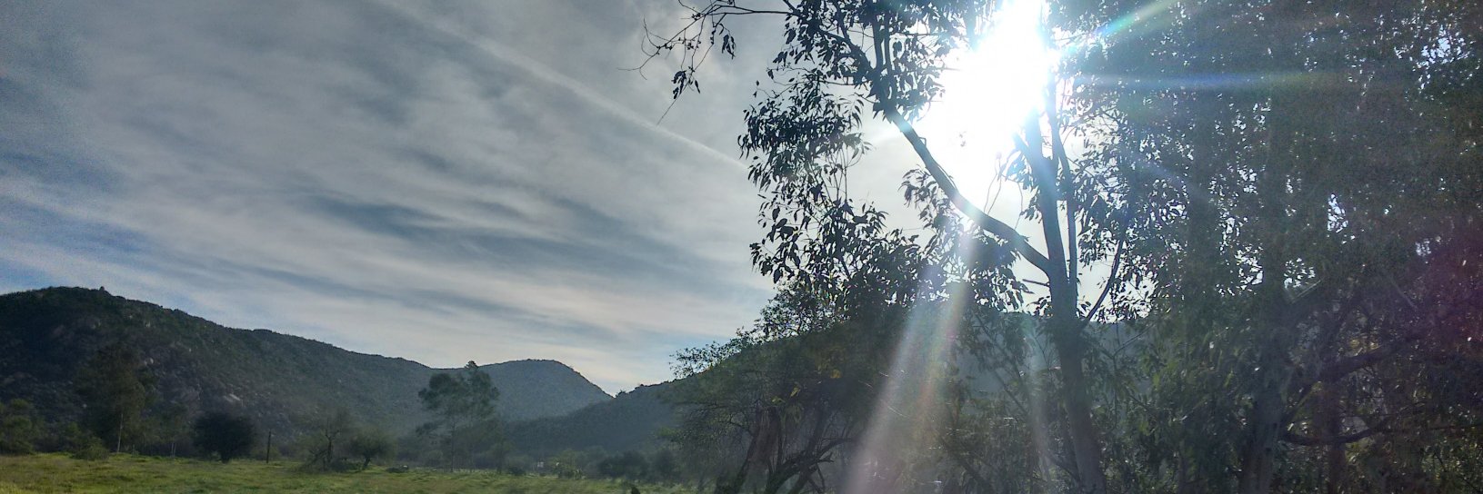 wizz21's profile banner image