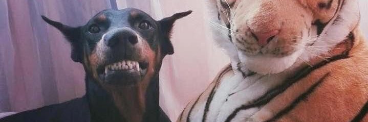 FKA_Dog's profile banner image