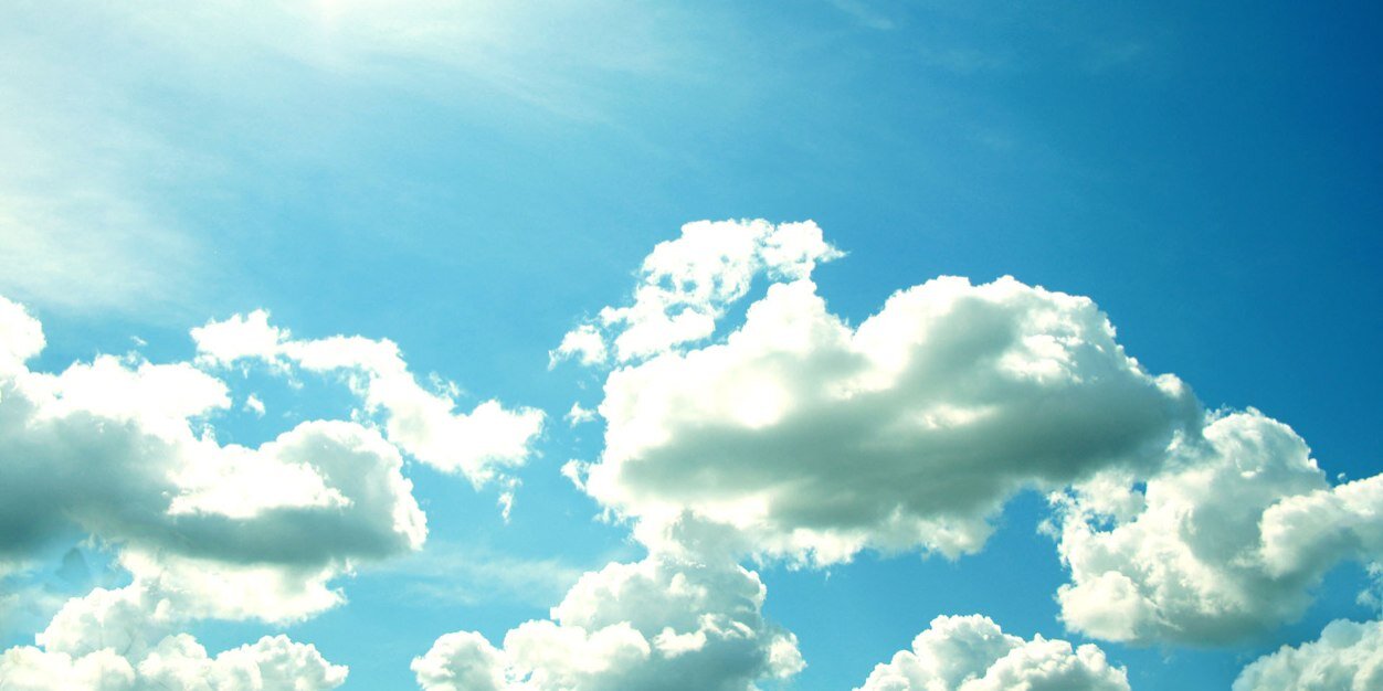 Vanessa Dulock banner