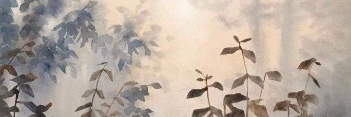 Faetyrr🌿 banner