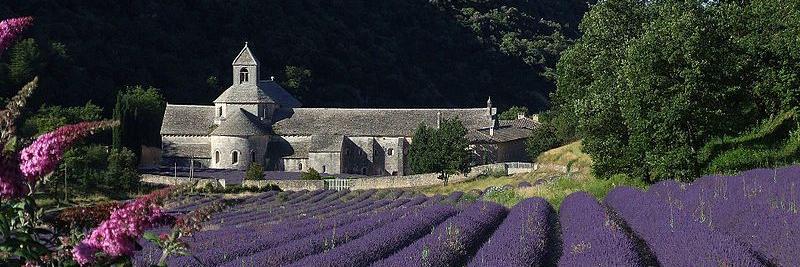 Fun 'N Travel, LLC banner