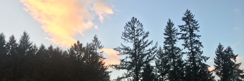 ollyhella's profile banner image