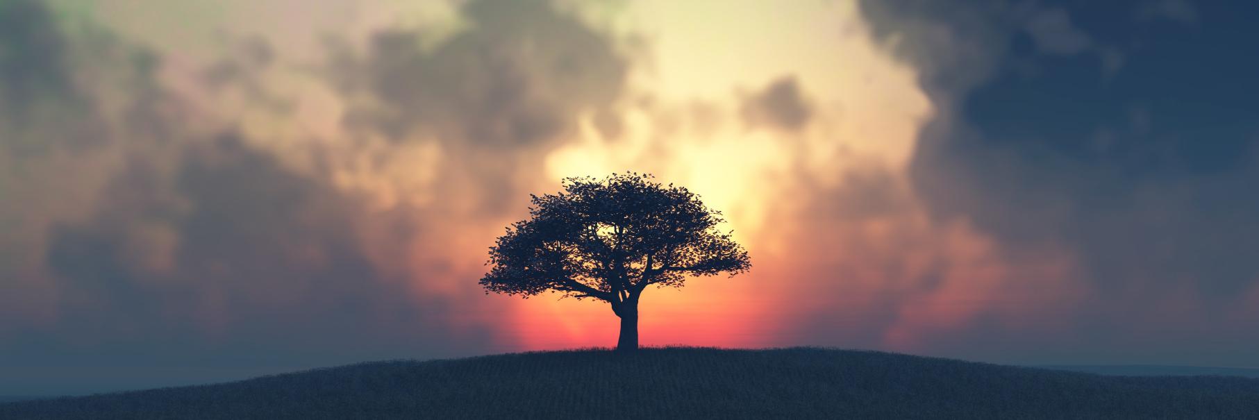 Peter Jaskiewicz banner