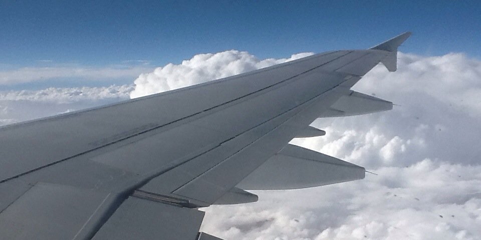 Aishali21's profile banner image