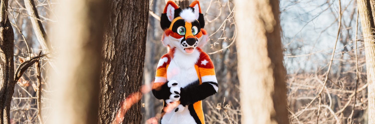 Fox Pupy 🦊🧡's banner
