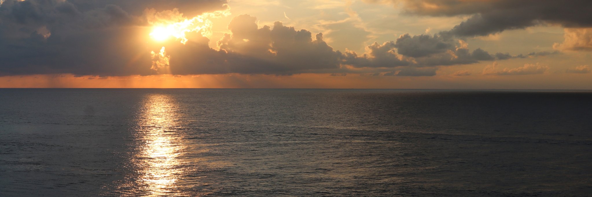 Scott banner