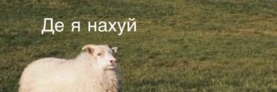 Ф(р)ея ꑭ 🧚🇺🇦's banner