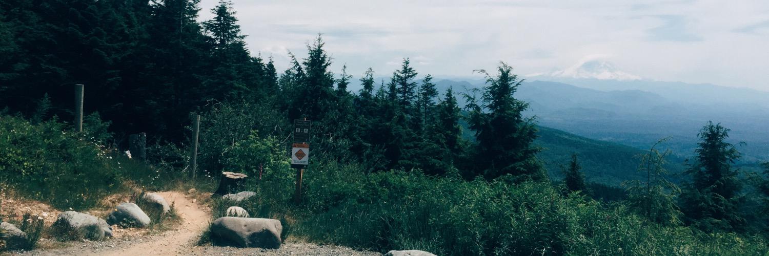 themallorymae's profile banner image