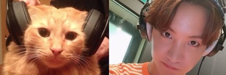 justhobito's profile banner image