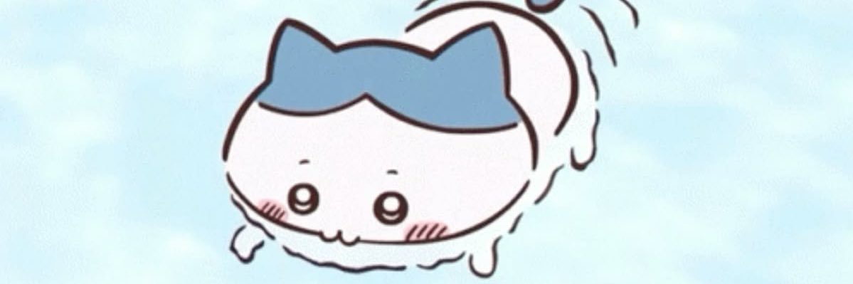 skzitices's profile banner image