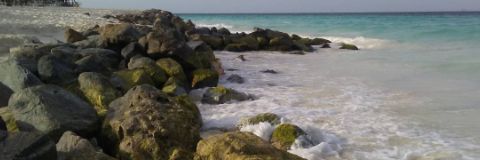 Canoli48's profile banner image