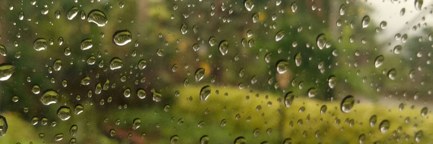 atikaaisya's profile banner image