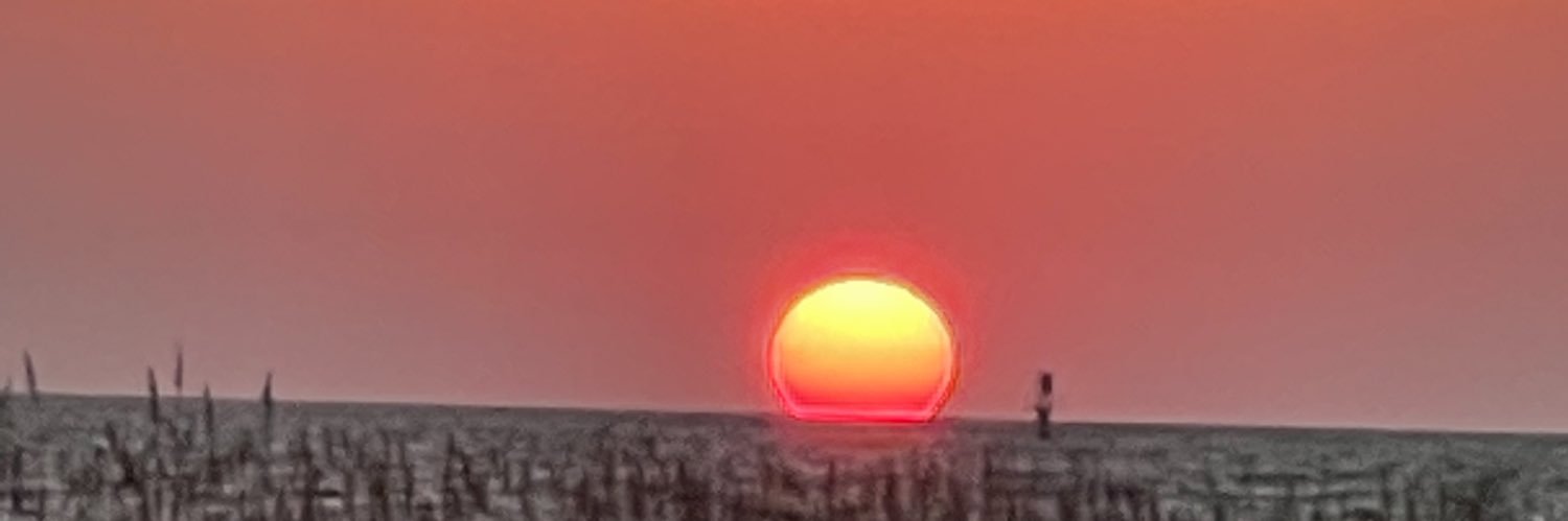 Leslie Justice banner