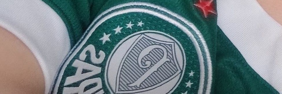 fusca banner
