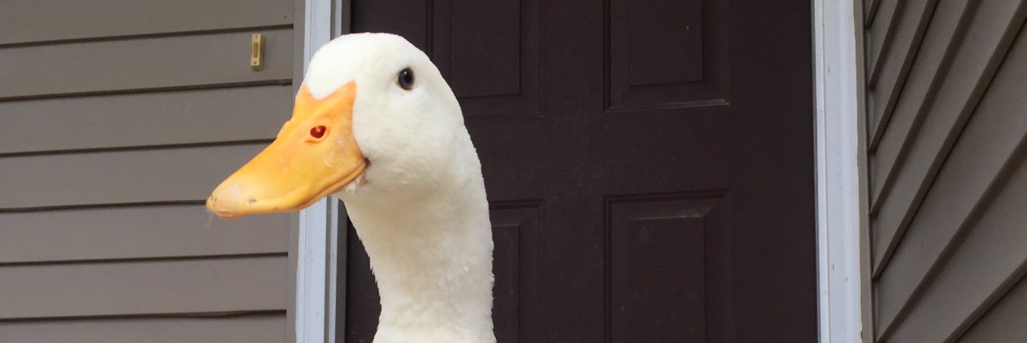 jcpole's profile banner image