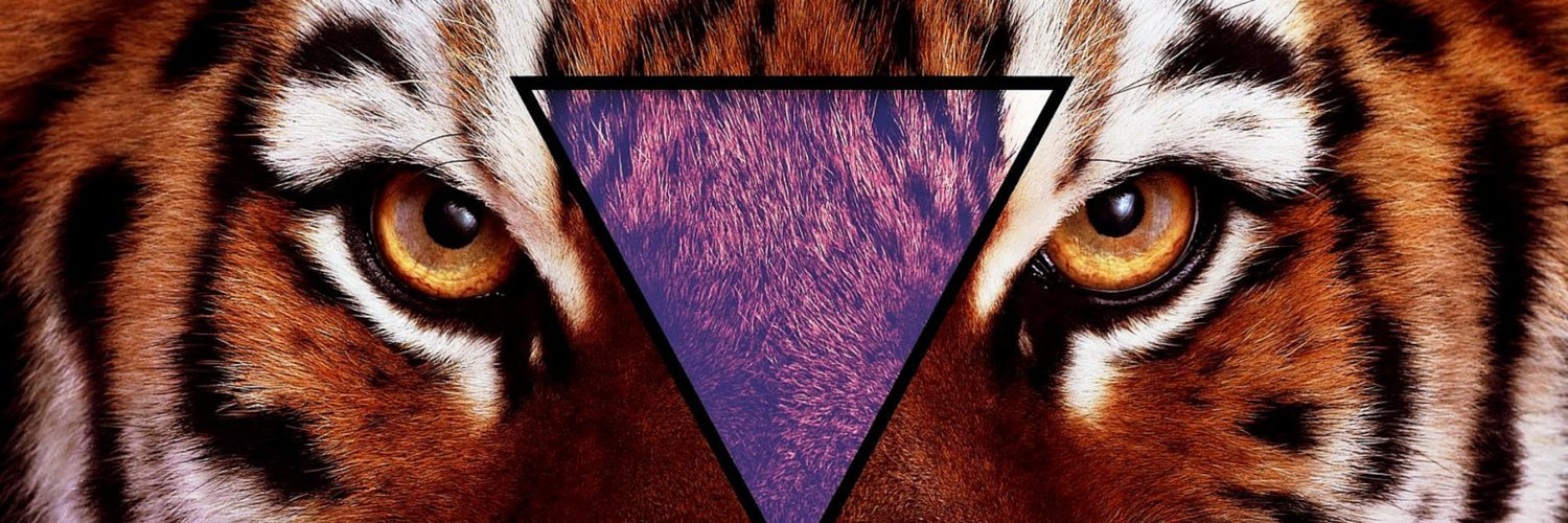 mediceneldan's profile banner image