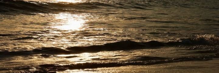 El Buda Original banner