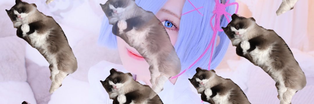 闇月るな🐇☪ぽんこつ's banner
