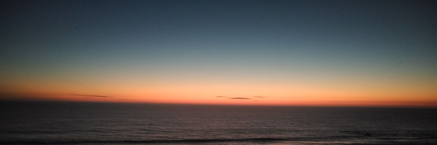 vidasinglamour's profile banner image