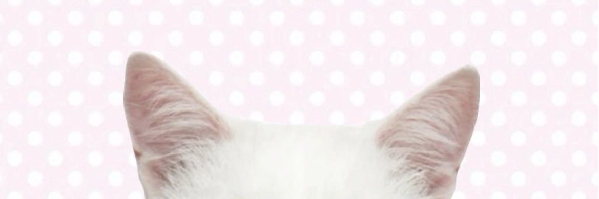 a banner