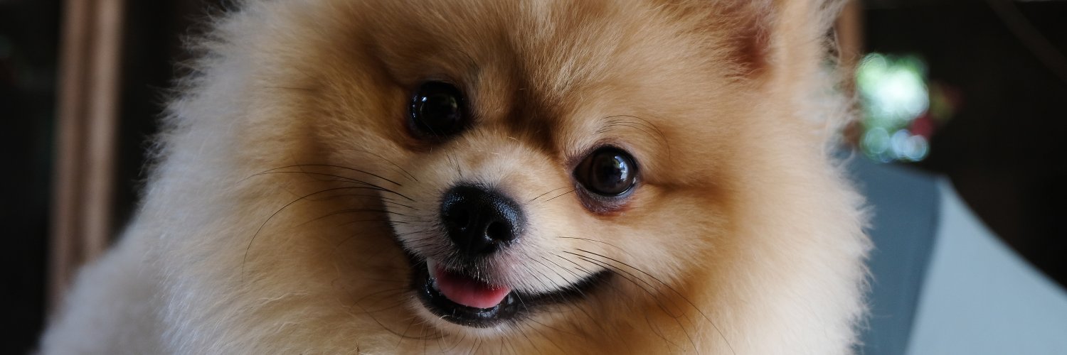 prrmndjr's profile banner image