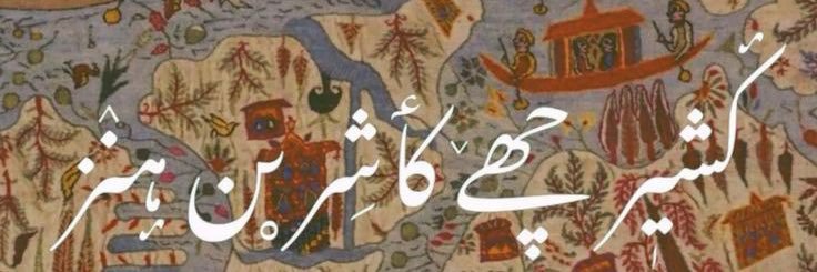 bazil 🕷️ banner