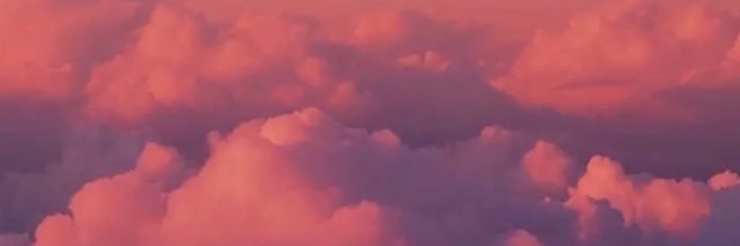 fallonalexis2's profile banner image
