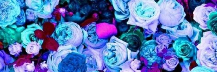 20roxbelle's profile banner image