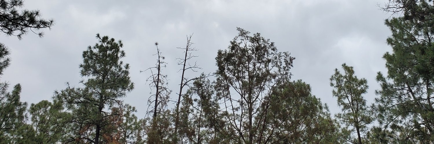 Rotted_Out_Gut's profile banner image