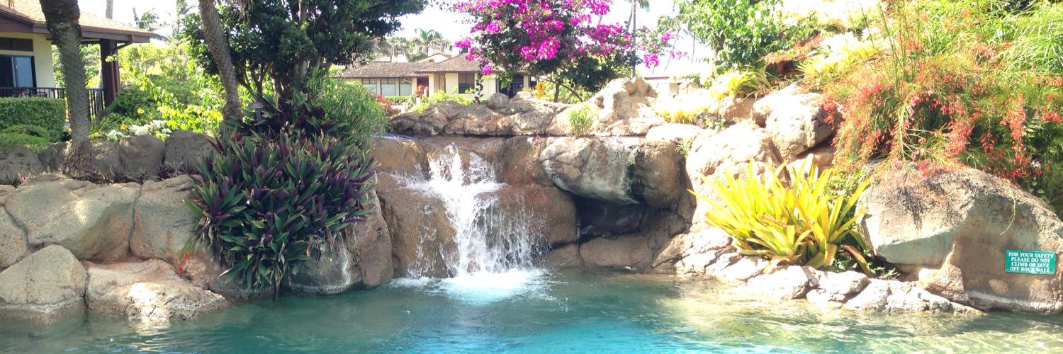 Joyce Jamerson EdD banner