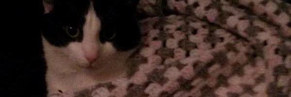 Maria_dette's profile banner image
