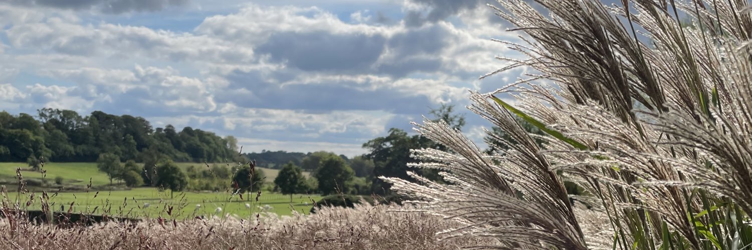 tamsin_lim's profile banner image
