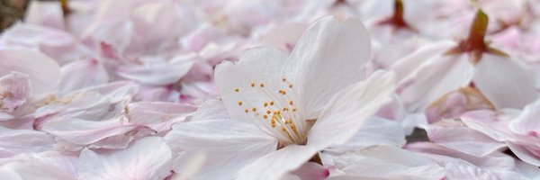 rjdhhuang Profile Banner