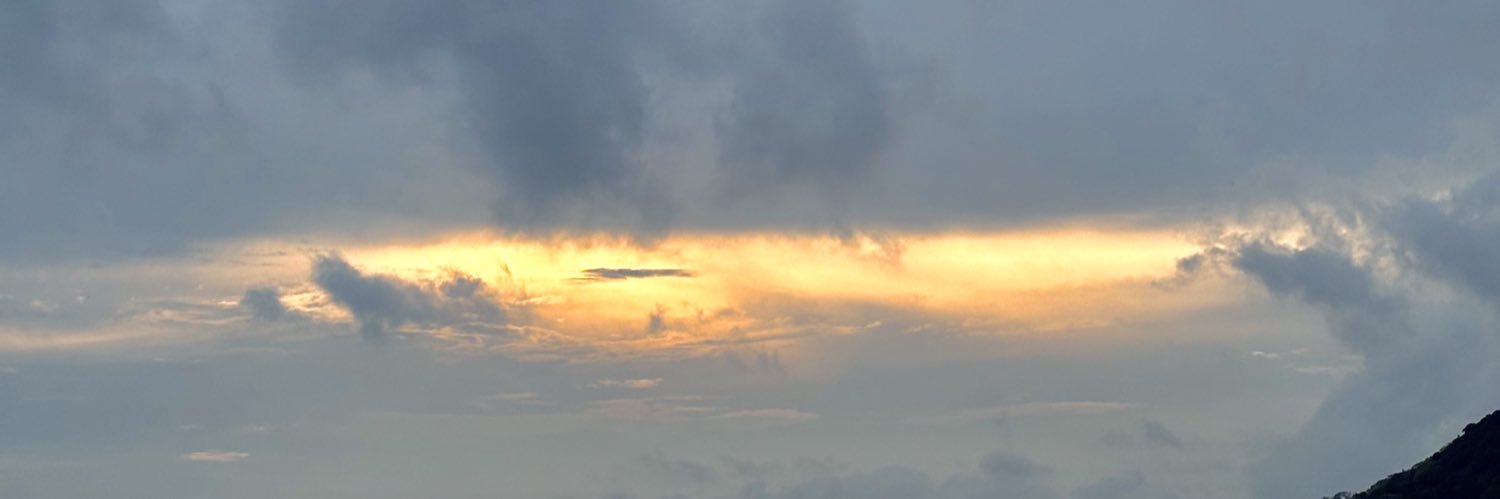 soymilagross's profile banner image