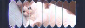fabioaditya's profile banner image