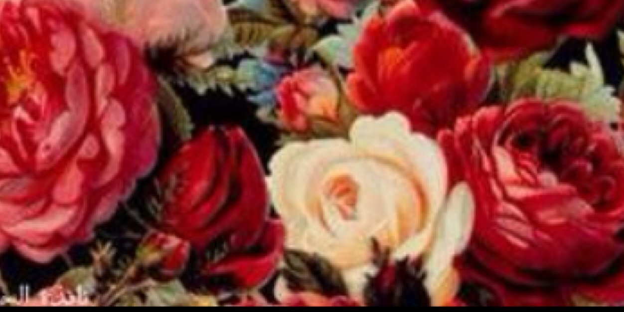 sh_m_31's profile banner image