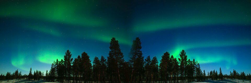 Verónica Lema banner