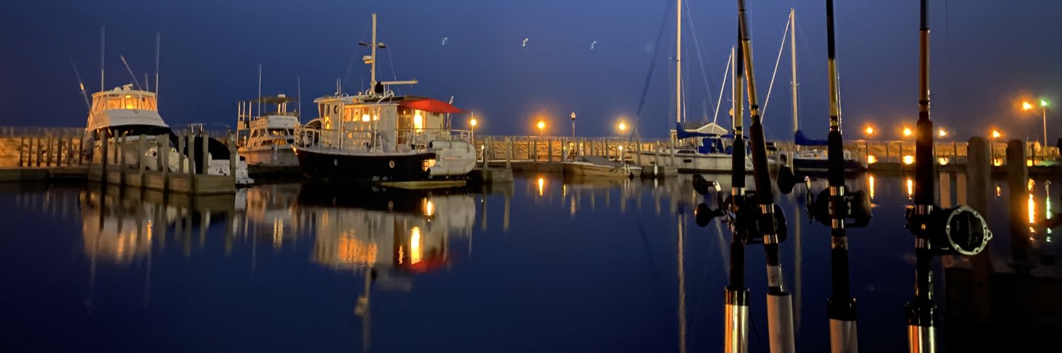 IT Dir ☕️ 🧫🧠 banner