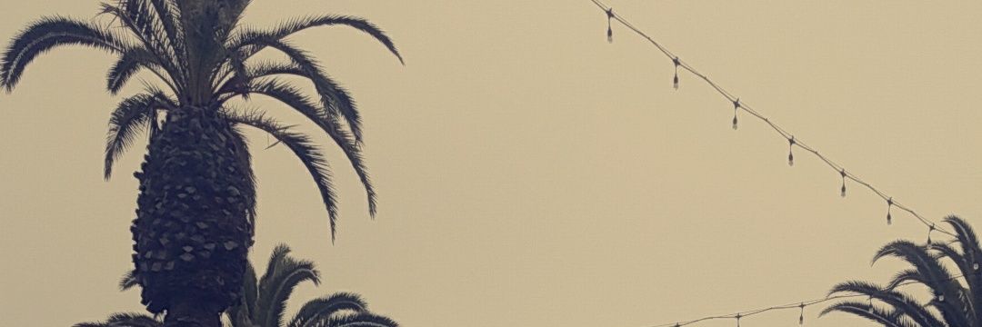 Shrimplicious18's profile banner image