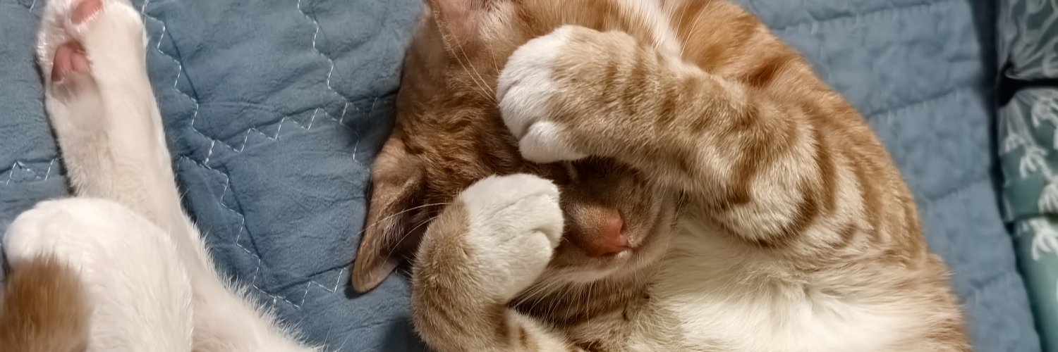 猫鹰Owl_Len banner