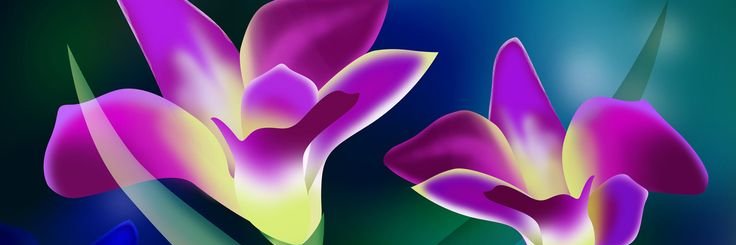ASTHFI2022's profile banner image