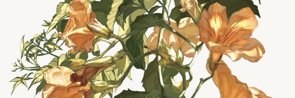 sunoji08 Profile Banner