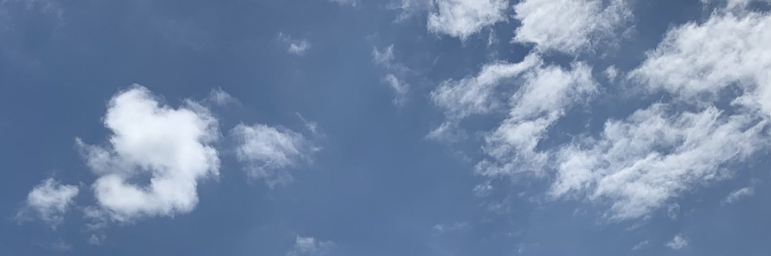 koppupoon's profile banner image