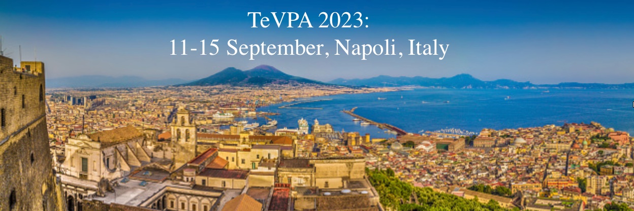 tevpa2023's profile banner image